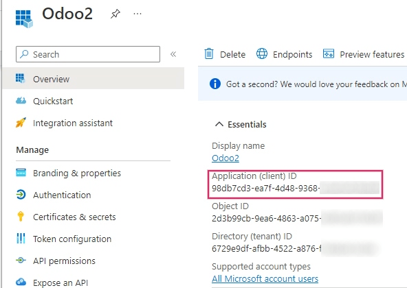 Az Application/Client ID az alkalmazás Overview oldalán található.