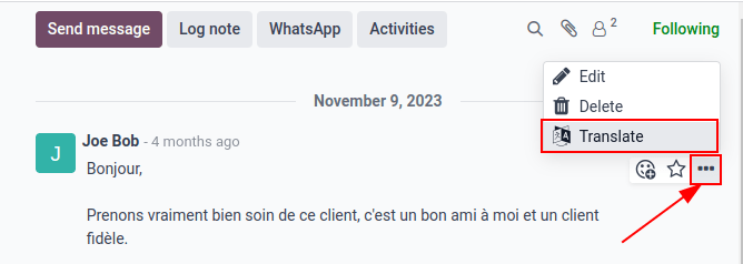 Google Fordítás egy Odoo adatbázis csevegőjében.