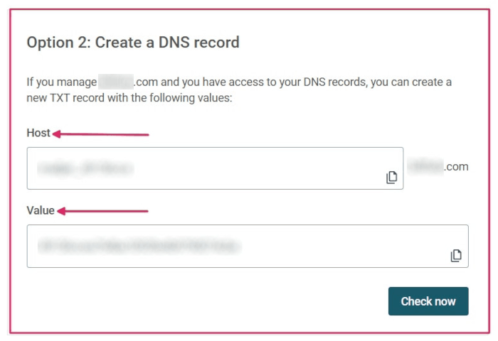 A TXT-rekord adatai, amelyeket a domain DNS-ébe kell beírni.